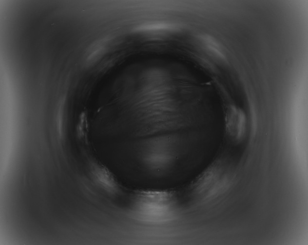 X0000084530233200703231659