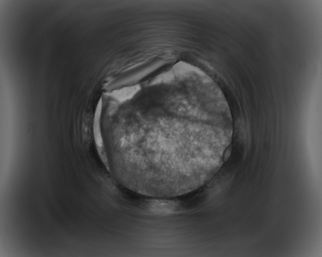 X0000084530234200703231659