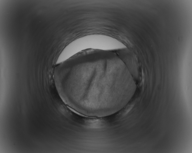 X0000084530237200703231659