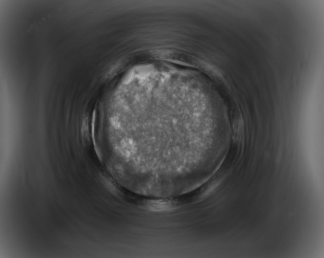 X0000084530238200703231659