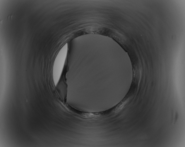 X0000084530239200703231659