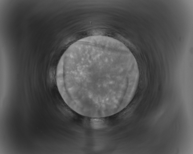 X0000084530240200703231659