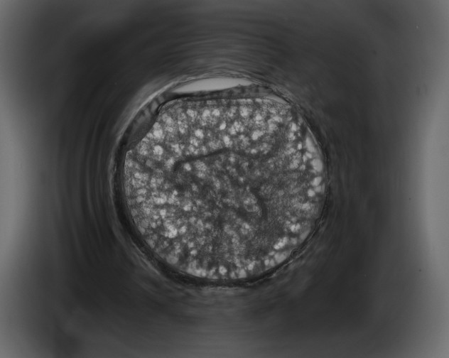 X0000084530242200703231658