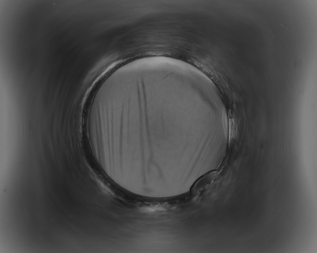 X0000084530243200703231658