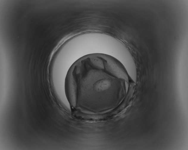 X0000084530244200703231658