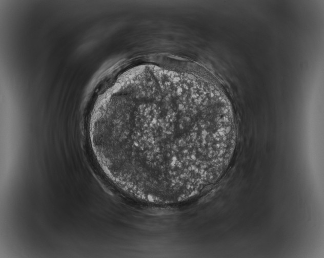X0000084530245200703231658