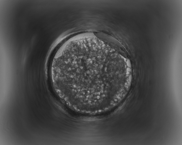 X0000084530246200703231658