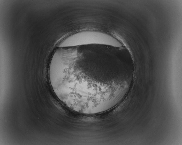 X0000084530249200703231658