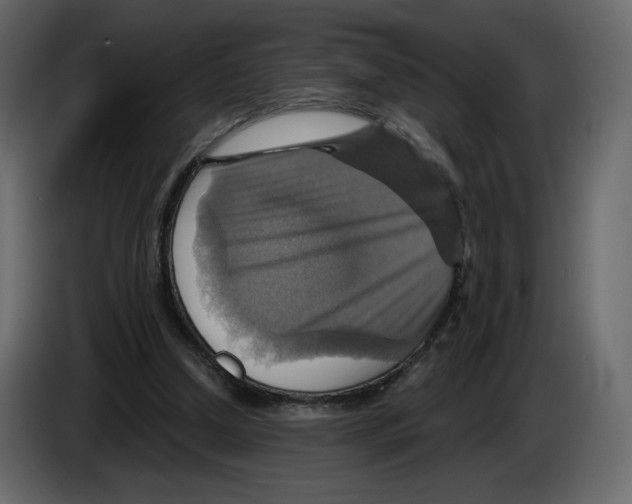 X0000084530250200703231658