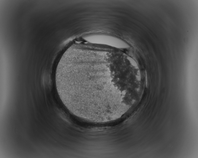 X0000084530252200703231658