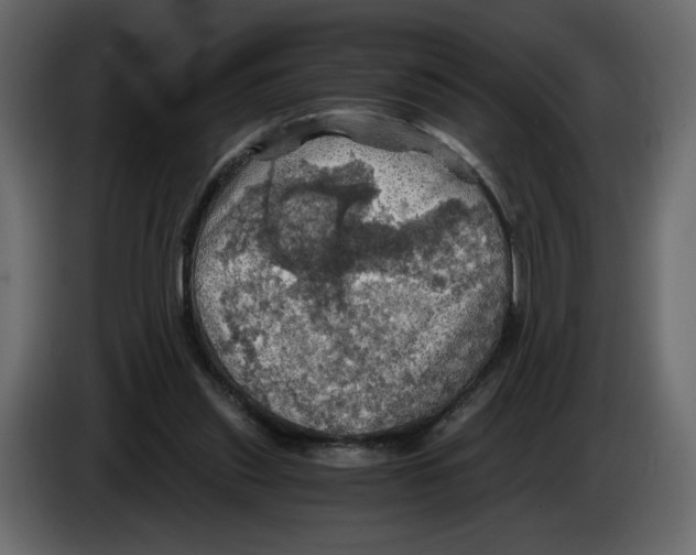 X0000084530253200703231659