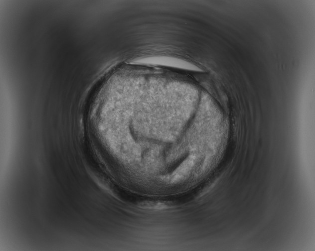 X0000084530254200703231659