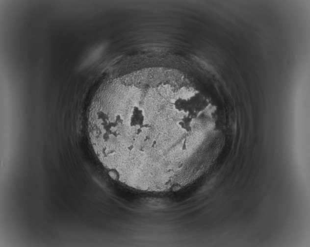 X0000084530255200703231659