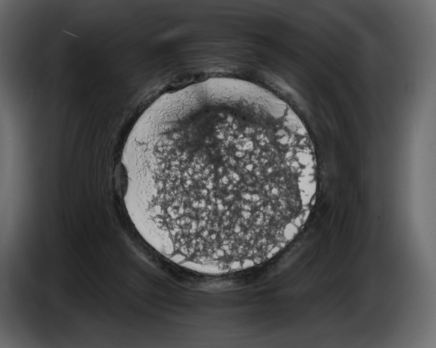 X0000084530257200703231659