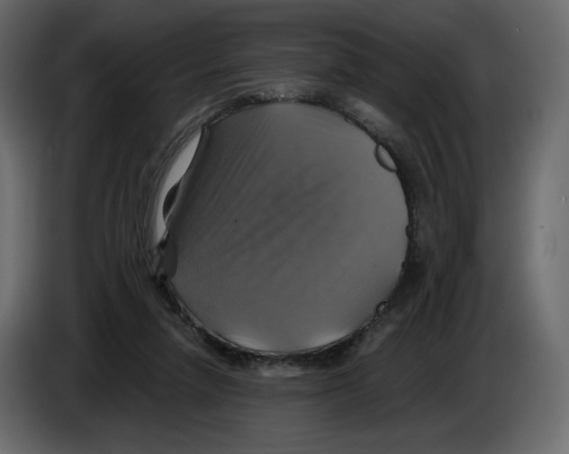 X0000084530258200703231659