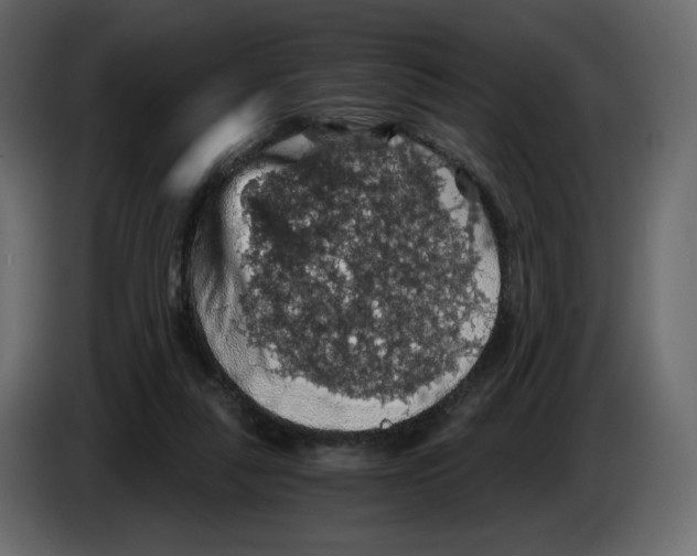 X0000084530259200703231659