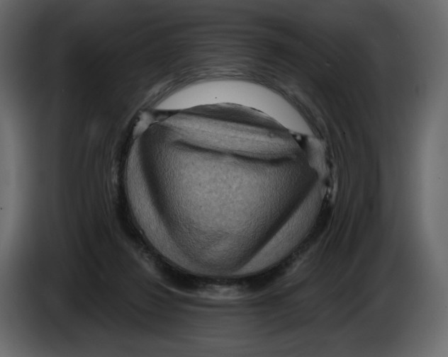 X0000084530260200703231659