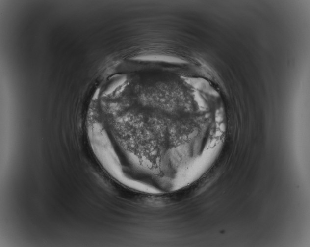 X0000084530261200703231659
