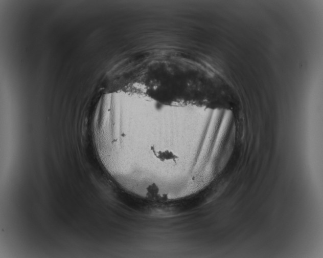 X0000084530263200703231659