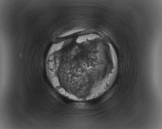 X0000084530265200703231659