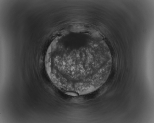 X0000084530271200703231659