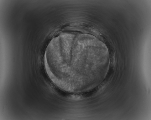 X0000084530272200703231659