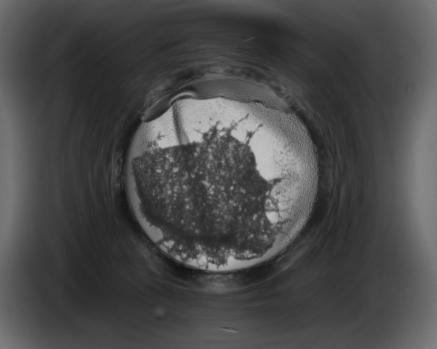 X0000084530273200703231659