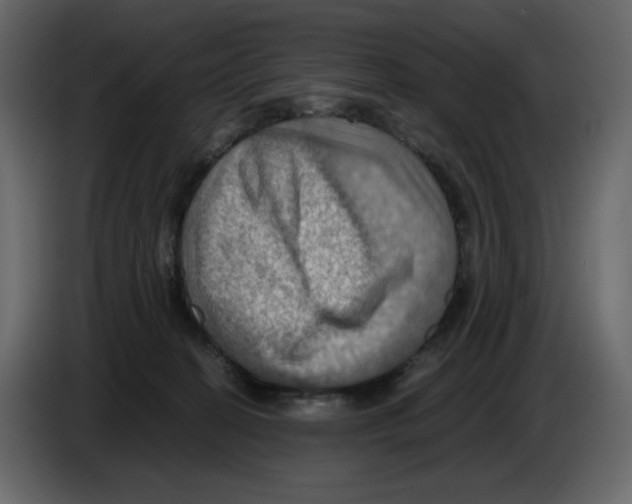 X0000084530274200703231659