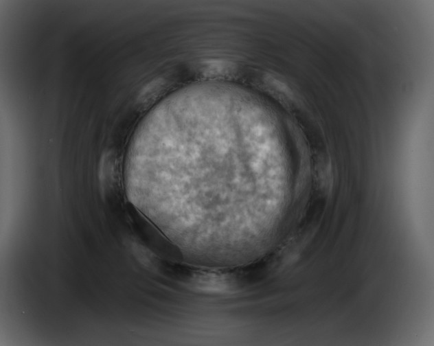 X0000084530276200703231659