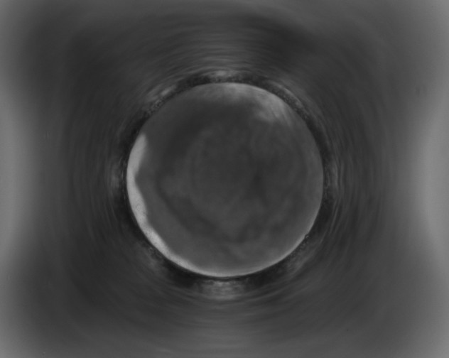 X0000084530277200703231659