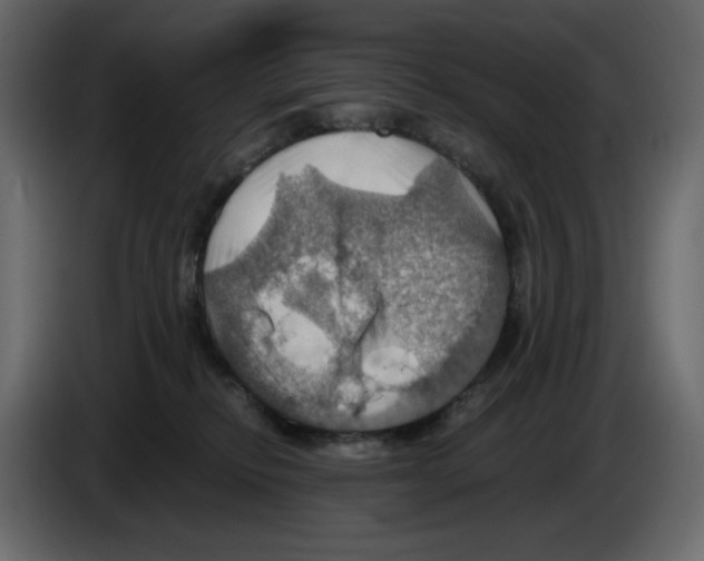 X0000084530278200703231659
