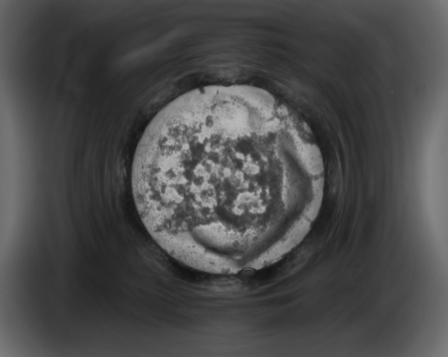 X0000084530279200703231659