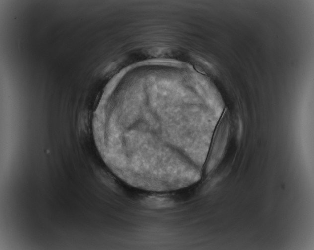 X0000084530280200703231659