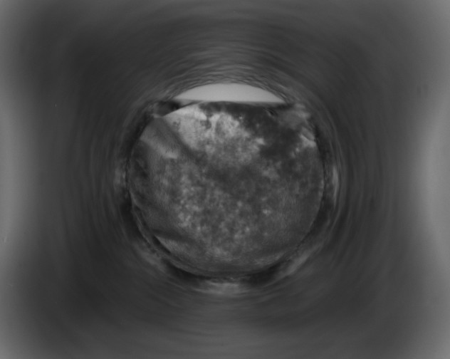 X0000084530284200703231659