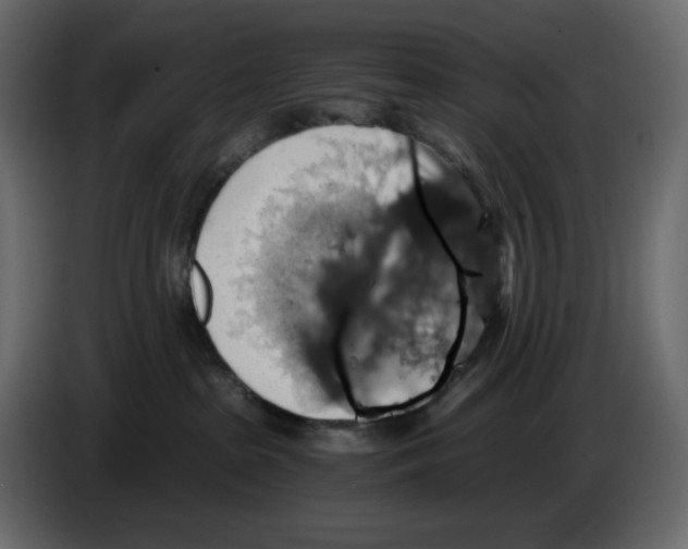 X0000084530285200703231659