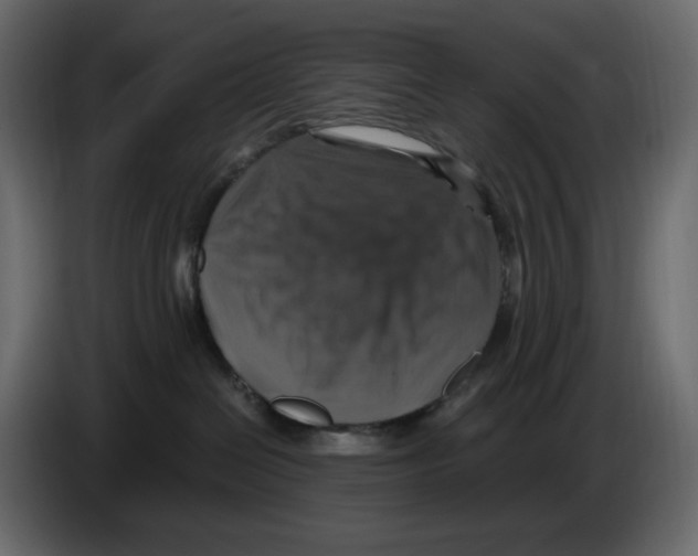 X0000084530286200703231659