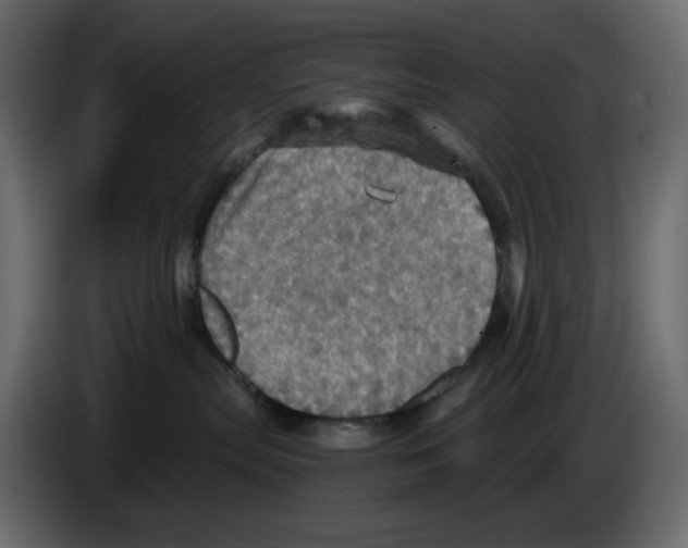 X0000084530287200703231659