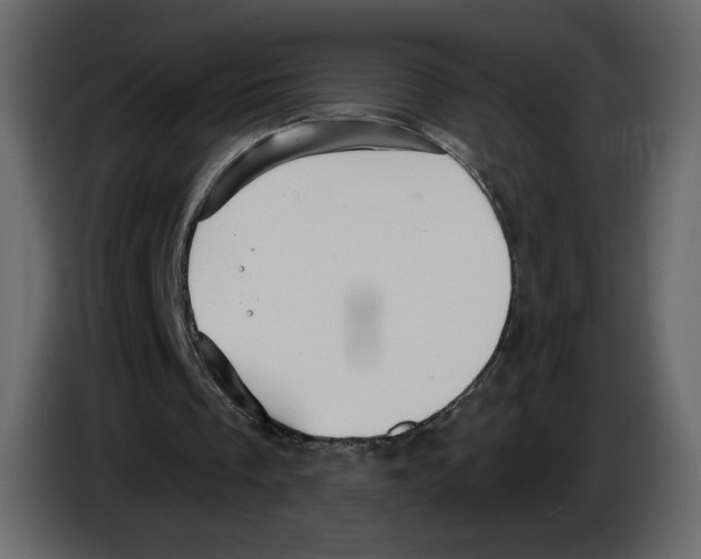 X0000084530289200703231658