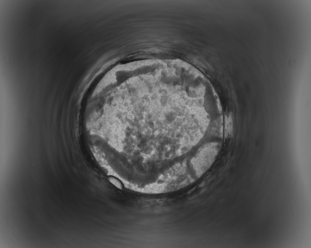 X0000084530291200703231658