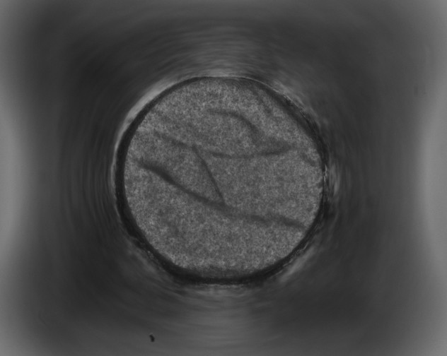 X0000084530292200703231658