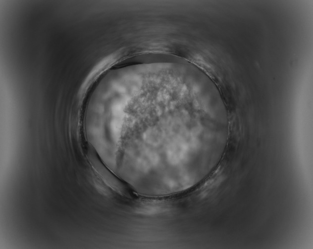 X0000084530293200703231658