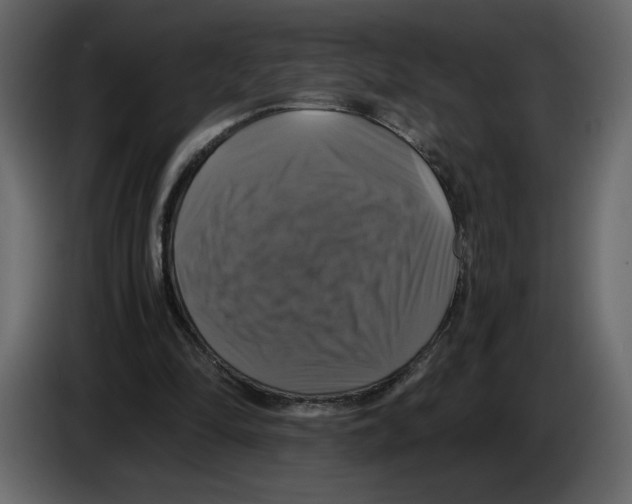 X0000084530294200703231658