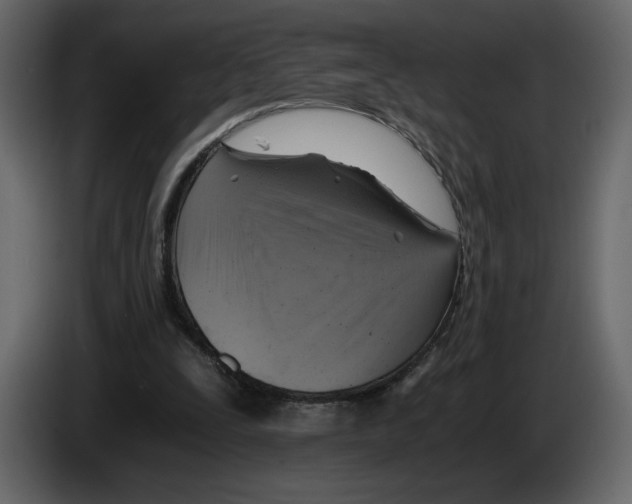 X0000084530295200703231658
