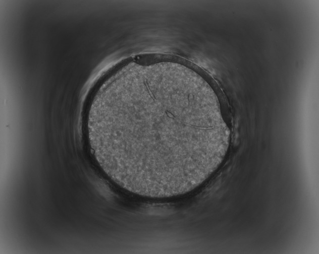 X0000084530296200703231658