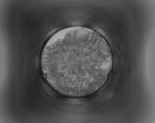 X0000084530297200703231658
