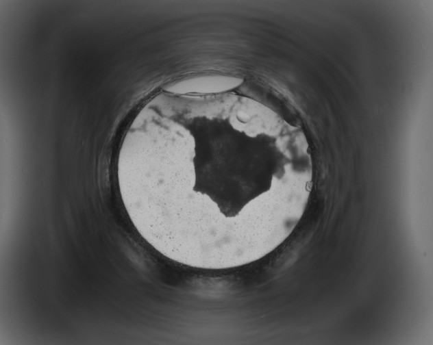 X0000084530299200703231658
