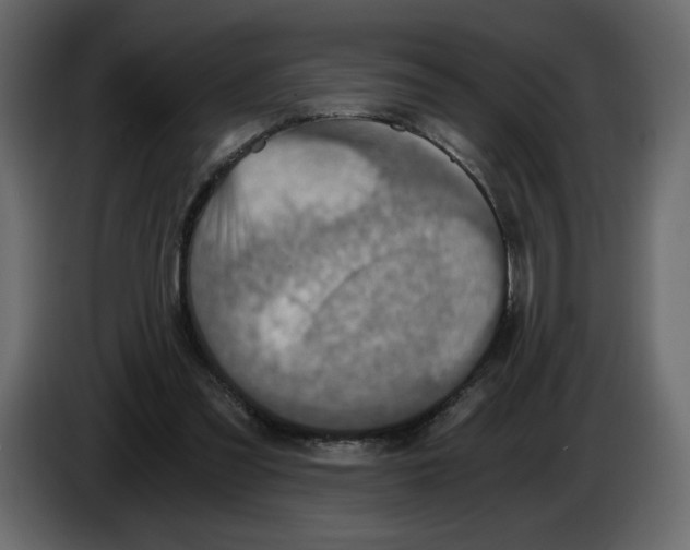 X0000084530301200703231658