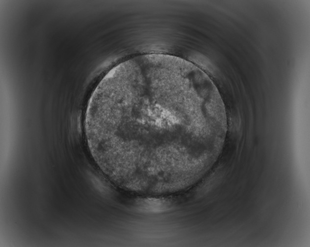 X0000084530302200703231658