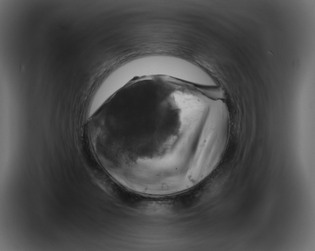 X0000084530303200703231658