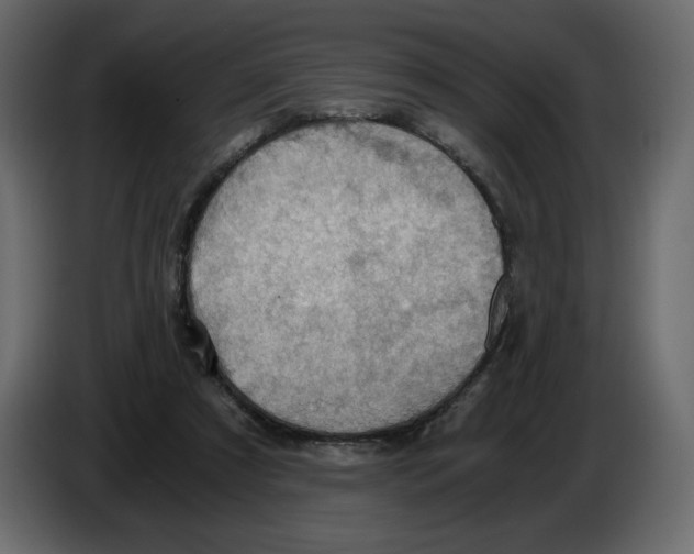 X0000084530305200703231658